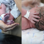Lauana Prado anuncia nascimento de Dom e compartilha emoção com chegada do primeiro filho